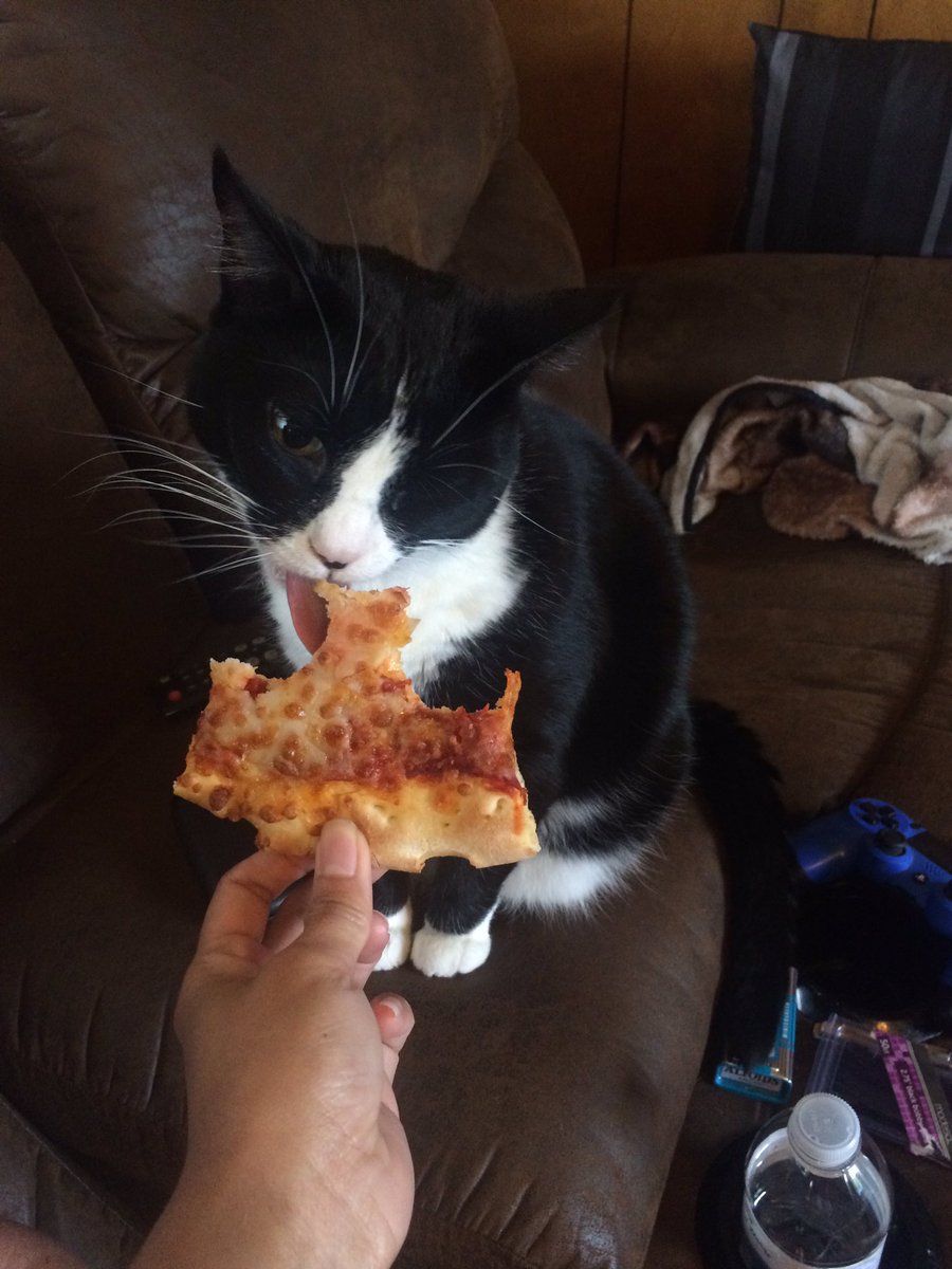 halincath's tweet image. Look at her cute tongue 👅.