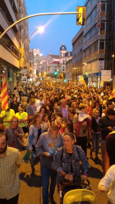 Mostra la imatge al Twitter