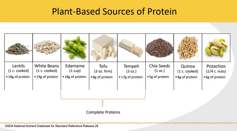 Common Plant-based and Animal sources of protein. 