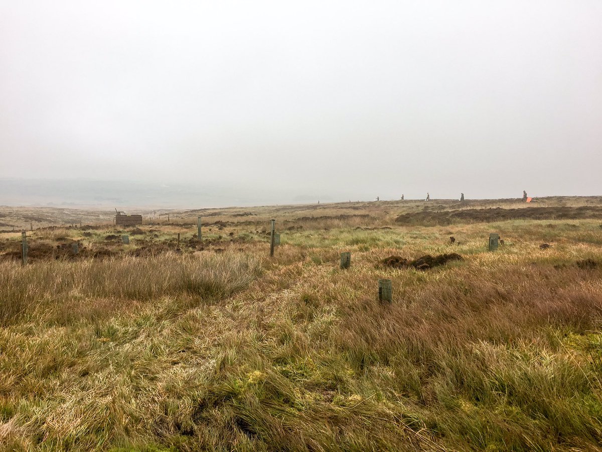 CurtisMossop's tweet image. Great day out on the moor, @NewtonRigg students excelled themselves as usual. Managing a grouse day in your first week at College ain&apos;t bad