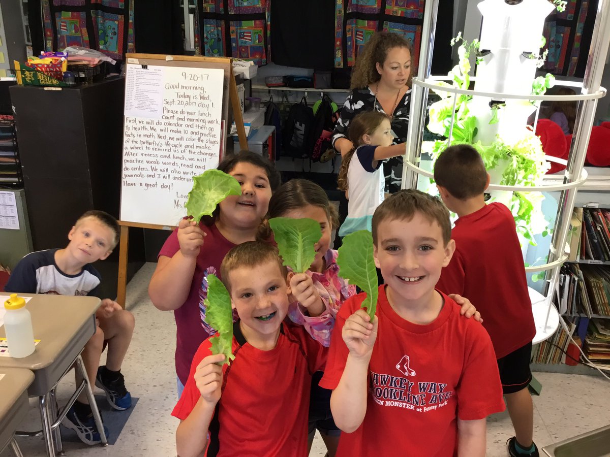Ms. Olszewski's class harvesting the Tower Garden. Making smoothies with the produce this afternoon!