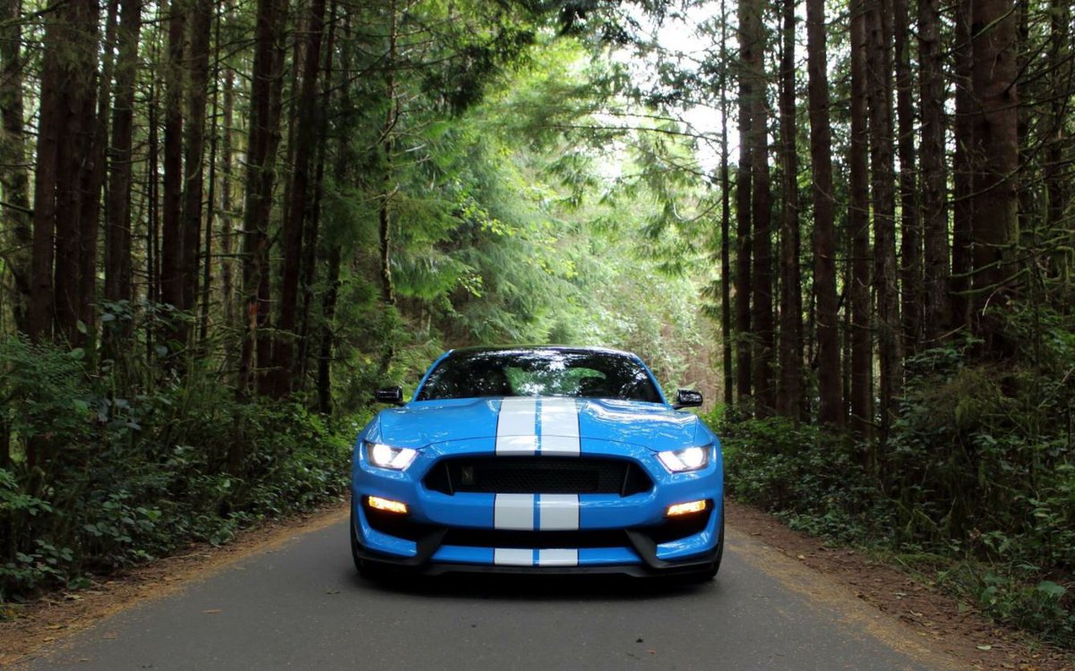 StrathmoreFord's tweet photo. #WheelsWednesday Driving the #FordMustang Shelby GT350 turns any road trip into an adventure! π #StrathmoreFord #Strathmore https://t.co/zXJ3pudxSN