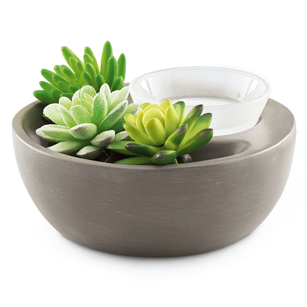 Sandy Osterday tweet media