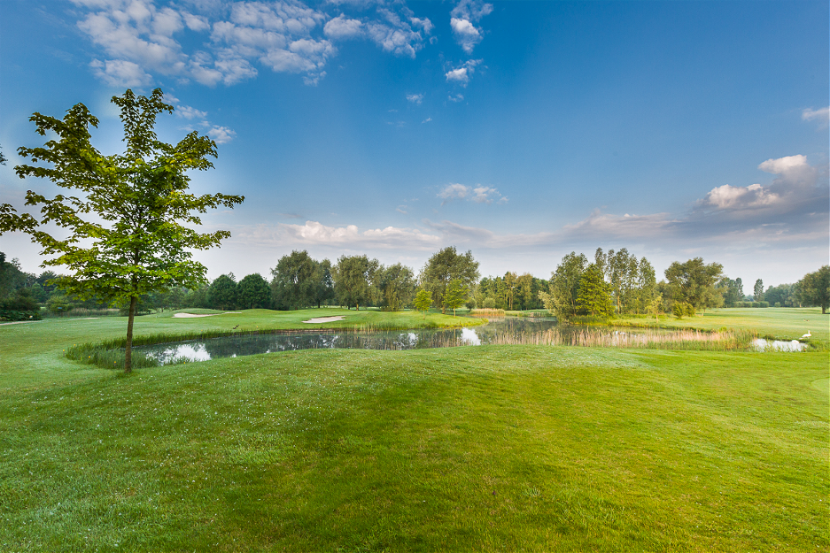 golfkrommerijn's tweet photo. Geheimzinnige natuur op #golfbaankrommerijn #Bunnik? Op 24-09 #baanwandeling met gids! #opengolfdag #golfgeheimen https://t.co/r6ETN5A56o https://t.co/yTaekc3eF0