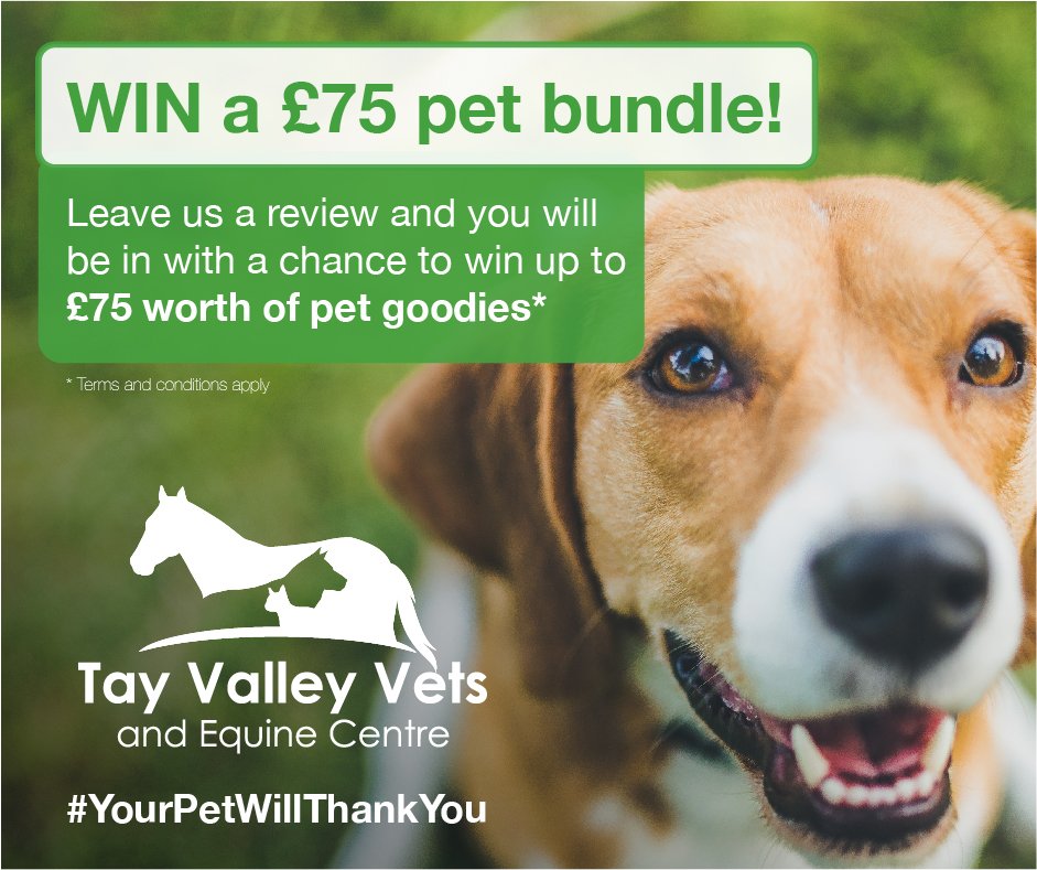 TayValleyVets's tweet photo. Win a pet bundle up to the value of £75*?! To be in with a chance leave us a review on Facebook! #HappyPets https://t.co/1ZqHo2t08O https://t.co/6YAjzpWBb2
