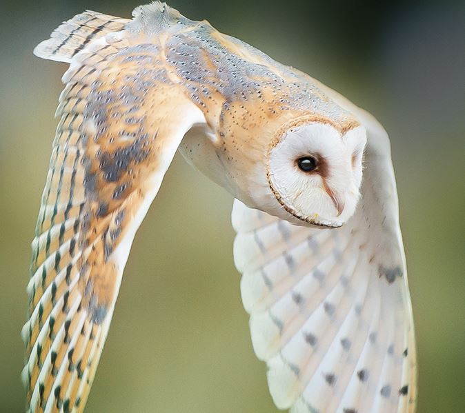 TenderServicesGroup tweet media