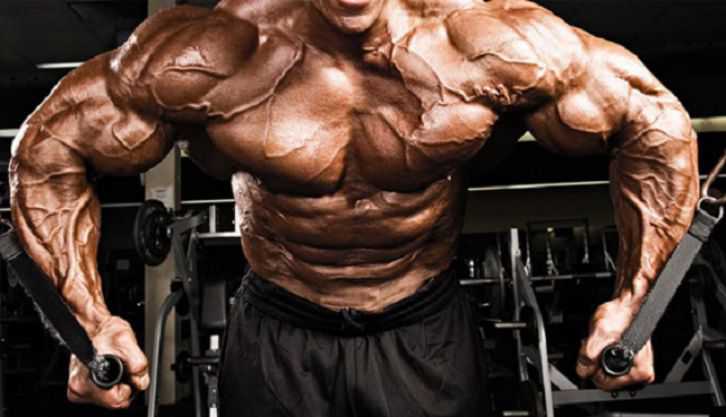 MotivatedNFit's tweet image. 5 Reasons You're Not Building Muscle Mass !
fitnessjoker.top/5-reasons-your…