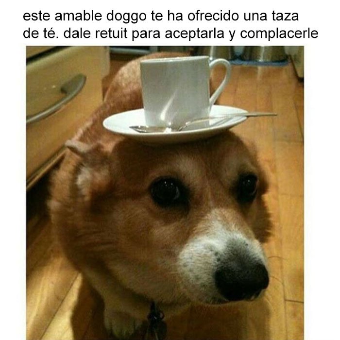 yisucrist's tweet photo. yo k tú lo haria https://t.co/jOvtTCUwhW