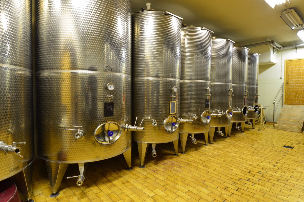 The end of the harvest 2017 is near and our cellar is full of wine already. 🍷🍾🥂🍇
#ourworkisourpassion #buzinel #winelover #cellar #winetime