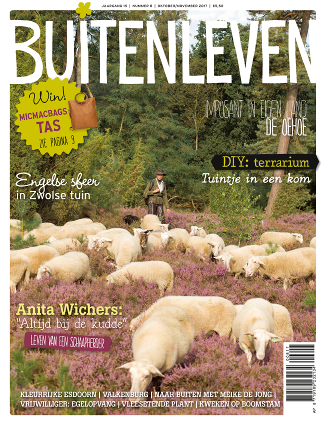 Vanaf vrijdag ligt ons herfstige nummer in de winkel! Veel leesplezier.