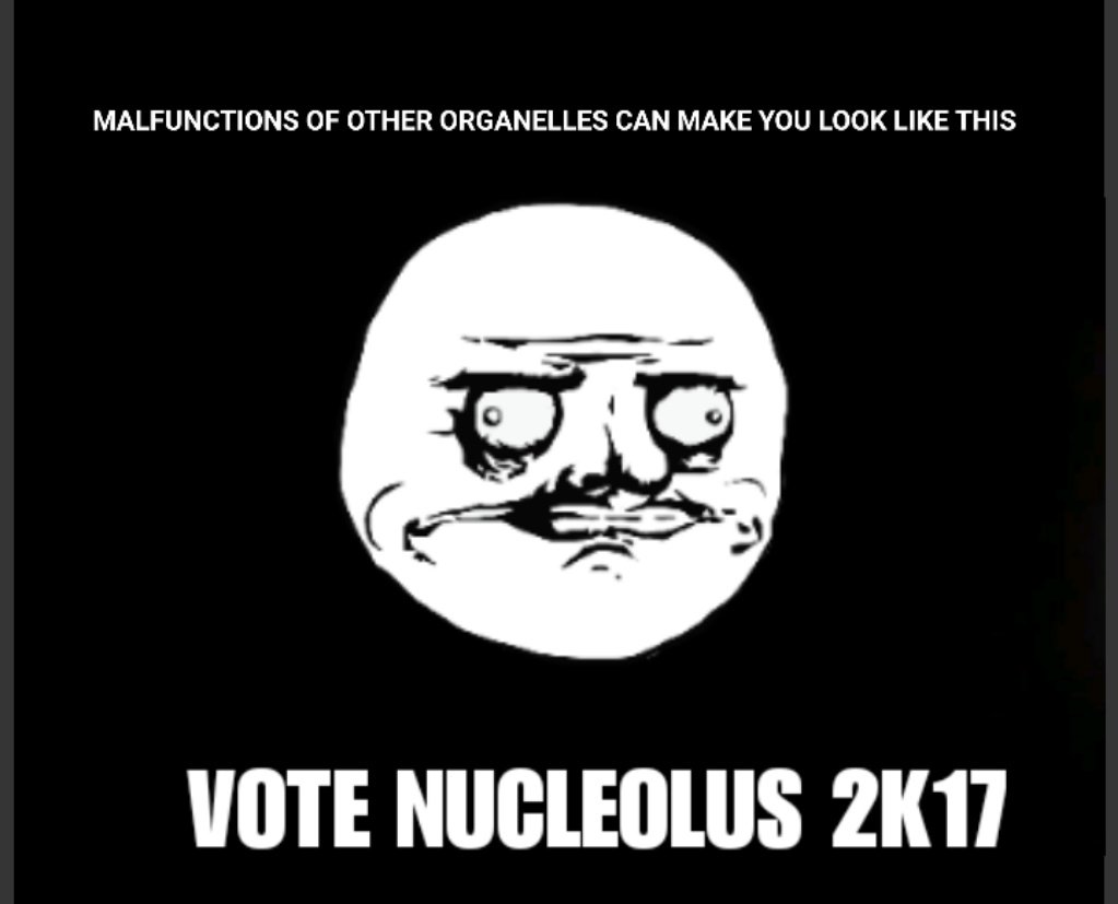 nucle_oh_yes's tweet photo. #votenucleolus2k17 #wethebest https://t.co/91bY98Ho1g