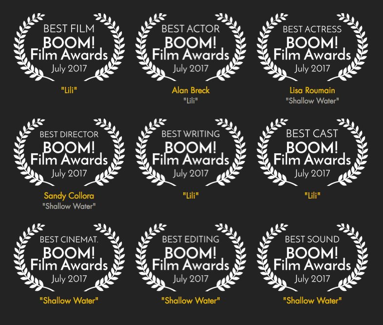 LiliShortFilm's tweet photo. Did we mention that we won best film and best writing? #justsaying #shortfilm #indiefilm #filmfestivals https://t.co/C9ehtpLhy8