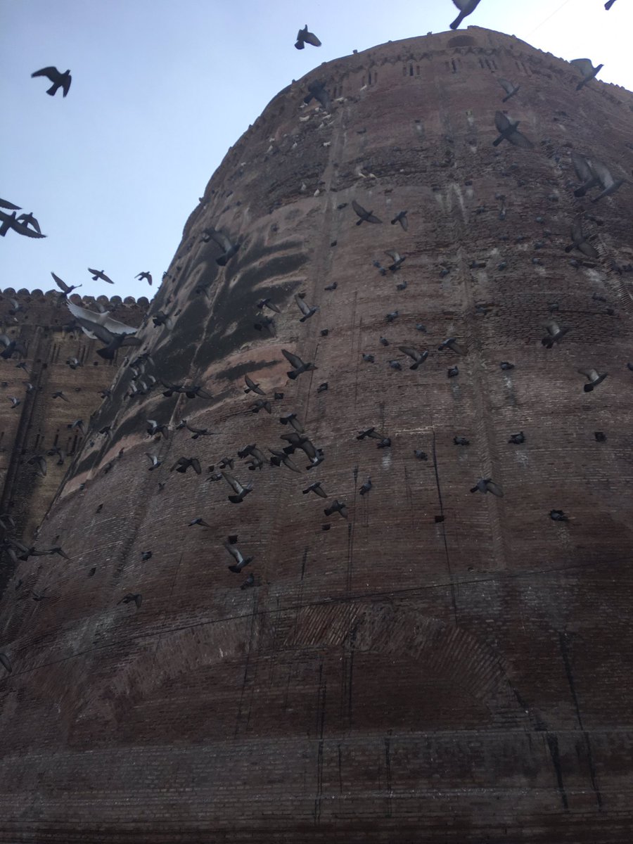 DilliKiRanaiyan's tweet photo. I'm determined to free Raziya from all the myths surrounding her.
I come to Qila e Mubarak in Bhatinda to find her
#SultanRazia #Altunia https://t.co/Rj3gUc0Hu1
