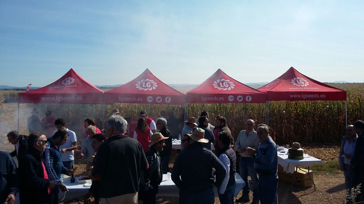 LGSeedsES's tweet photo. ¡Gran día de sol para la Jornada de Maíz con Agricultores de Aragón en Biota! 🌽☀️☀️ https://t.co/U5JrKykHNq