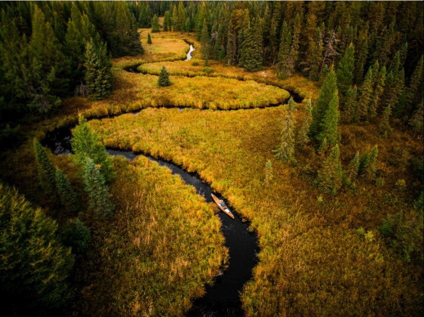 CaptureMN's tweet photo. Nature's version of a yellow brick road.

Photo credit: "Canoeing the Snake" by Joe Baumann https://t.co/Ev0zwOvJMg