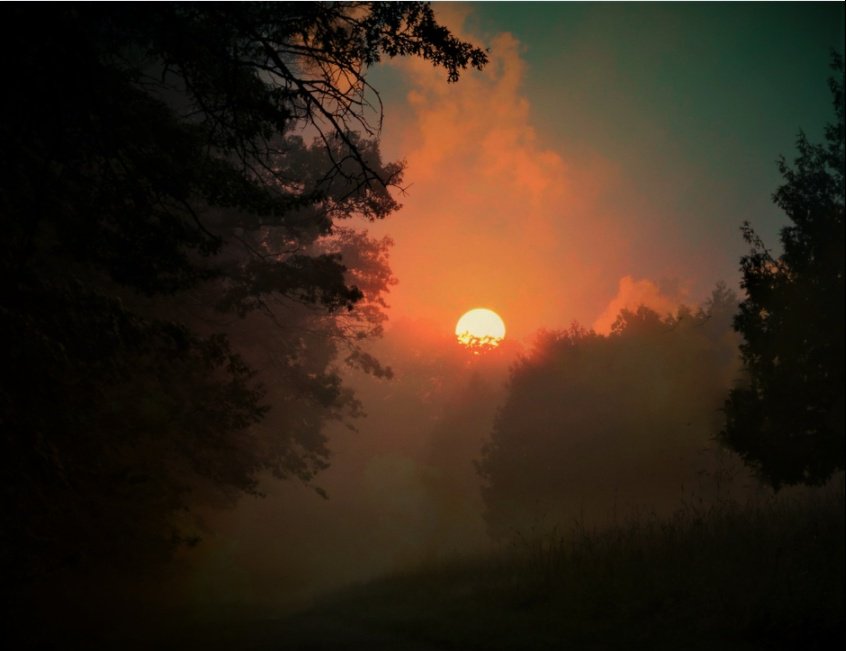 CaptureMN's tweet photo. Minnesota puttin' on the early autumn ritz...

Today's #photooftheday "Shadows of a Sunlit Morning" by Sharon Stoltzman https://t.co/WICXluoVXr