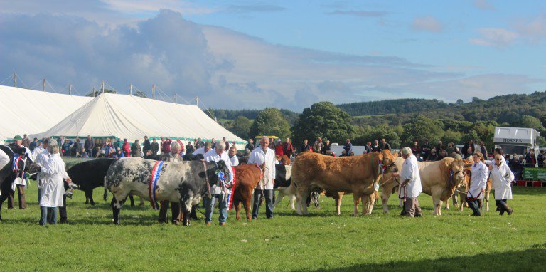 Don't miss the <a href="/nidderdaleshow/">Nidderdale Show</a> Mon 25th Sept with top class livestock, horse and dog sections!
nidderdaleshow.co.uk