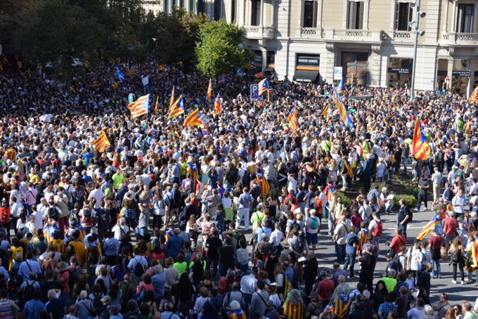 Voir l'image sur Twitter