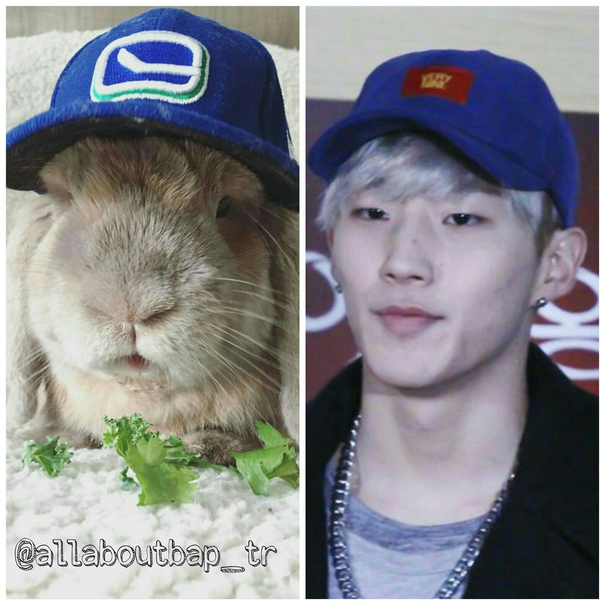 allaboutbap_tr's tweet photo. 😇
#Jongup #bunny #rabbit #BAP #Daehyun #BABY #Yongguk #Zelo #Youngjae #Himchan #kpop #funny https://t.co/ku93YZk3o5