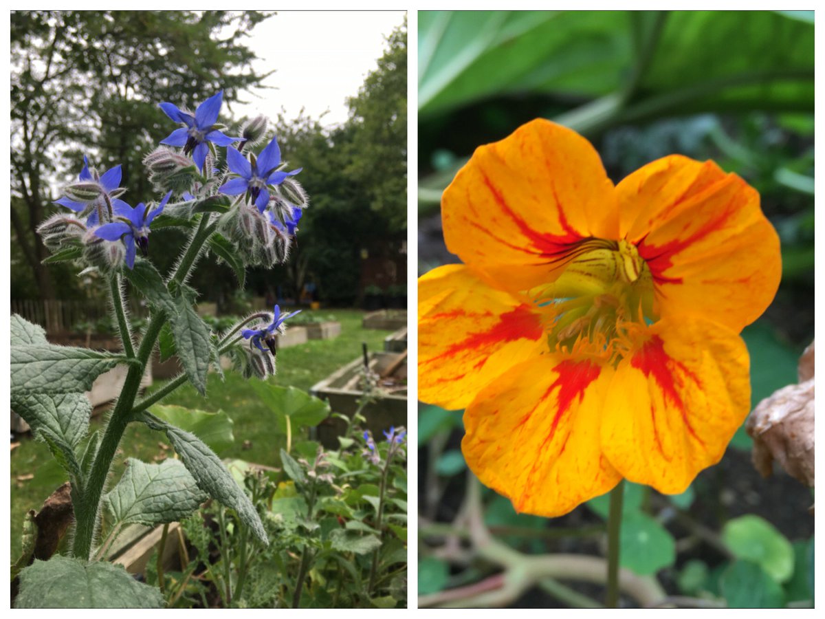 UrbanGrowthNW1 photo