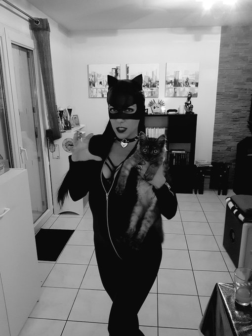 Bonne soir&eacute;e mes ch&eacute;ris ! Les chats aiment les cartons, moi pas... 🤔 https://t.co/uktbAByJQ2<a href="/tag/frapor"class="tags"><span>#frapor</span></a>