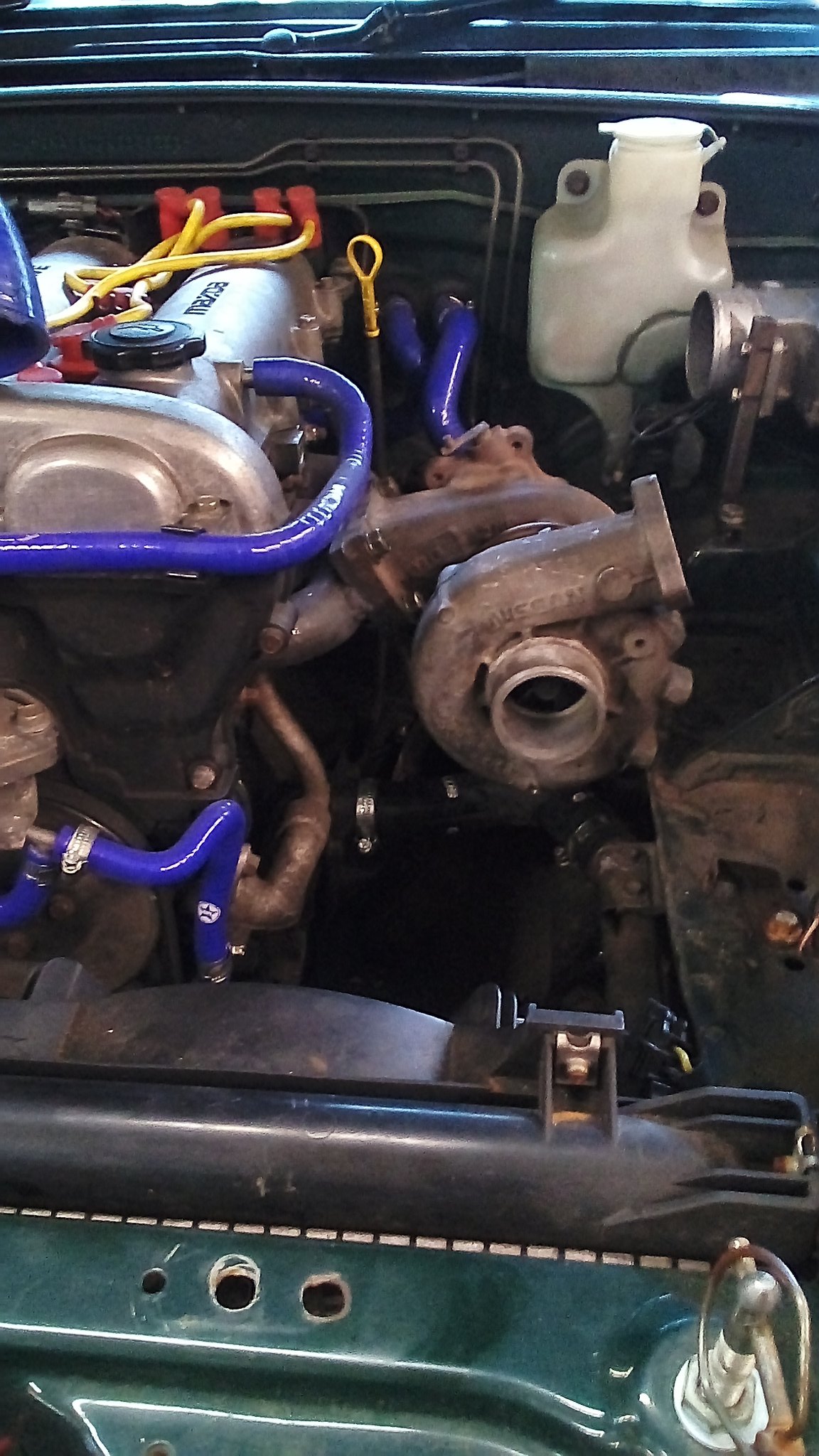 Gavin Riddell (@gavin_riddell) / Twitter