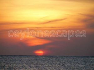 ceylon_escapes's tweet photo. The East coast of Sri Lanka has always been the best place for a beach holiday in Sri Lanka.  🏄😎 🏖️🍹🌴

#Tag a #friend who <3 to Travel #SL https://t.co/3PYpKwlSX2
