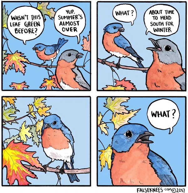 What?

https://t.co/gskKdxRi8G #falseknees #bird #comic #easternbluebird #webcomic #what #leaf #fall 