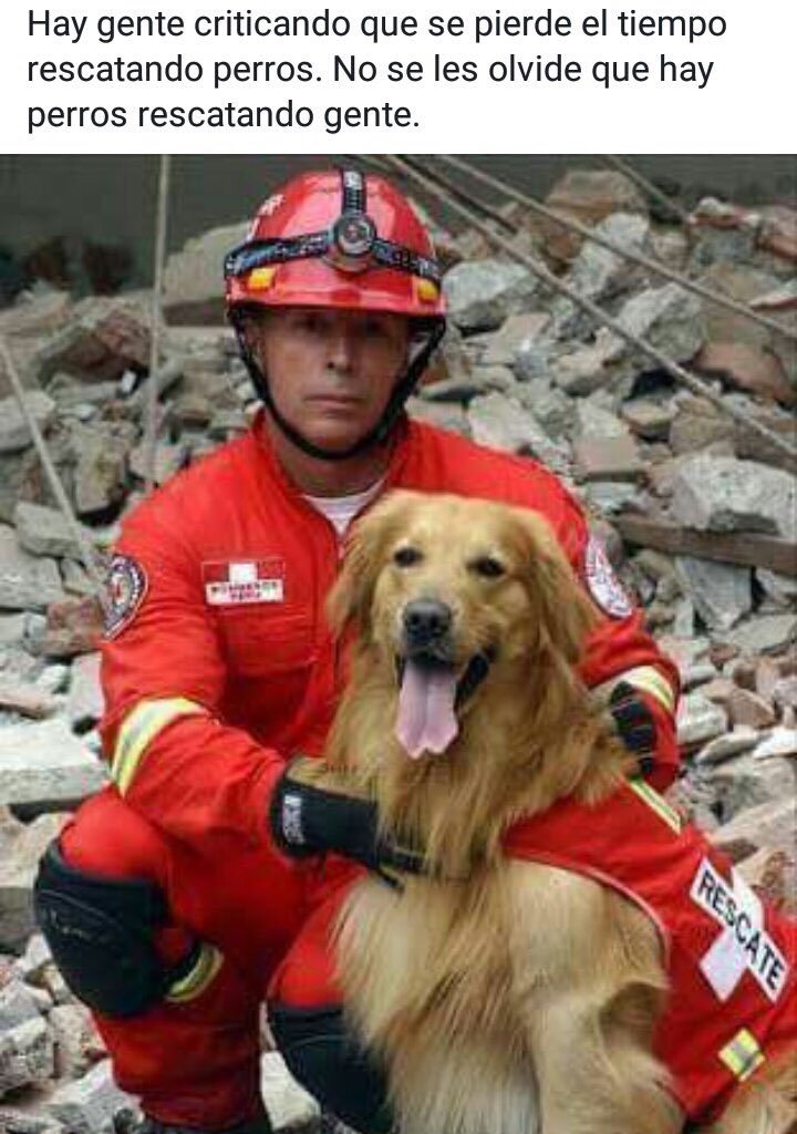 Una vida es una vida, ayudemos como podamos. Por favor ayuden cerca de sus domicilios, dejen cuanta vía libre posible para ambulancias