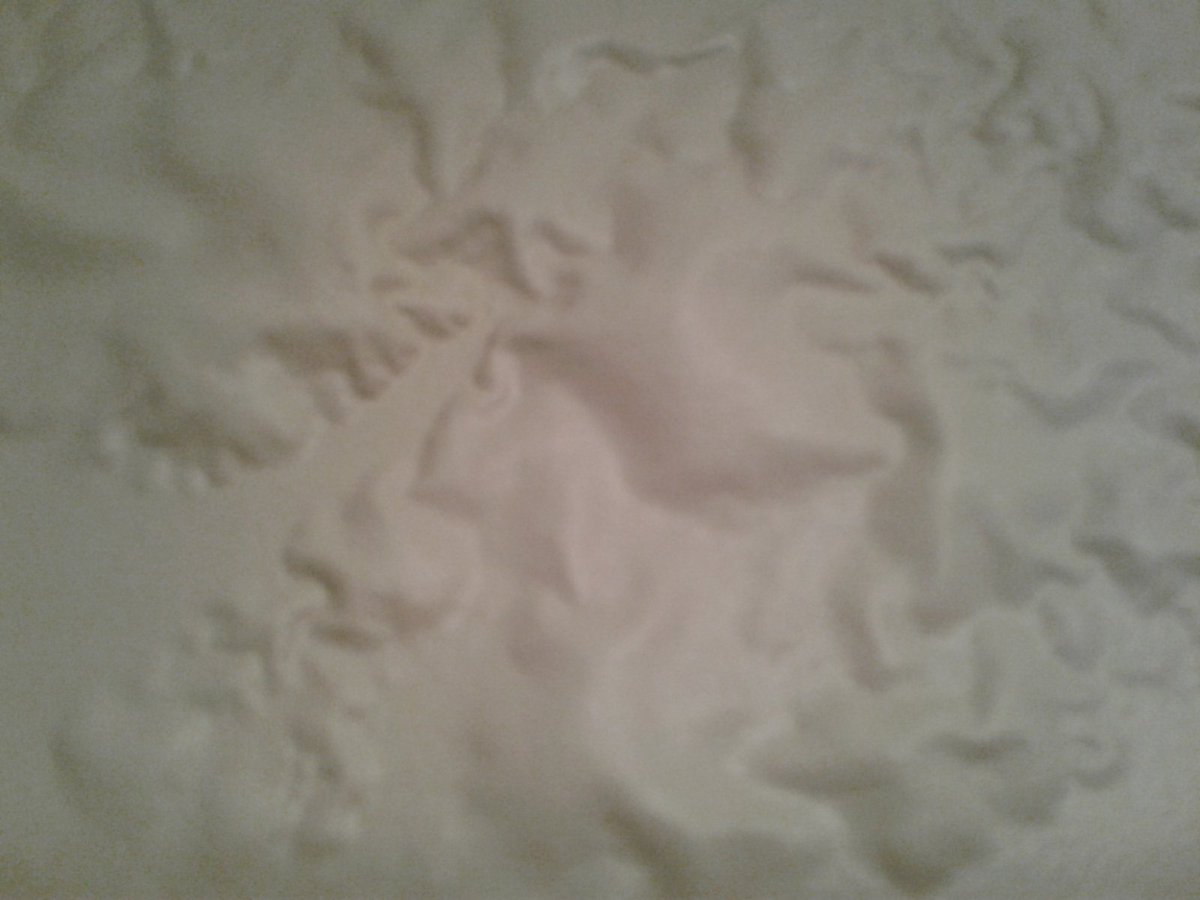 SacAppraiser's tweet photo. Water damage on a wall. Sort of looks like terrain on a map, no? #notamap #stuffisee https://t.co/xlJ7f61VVm