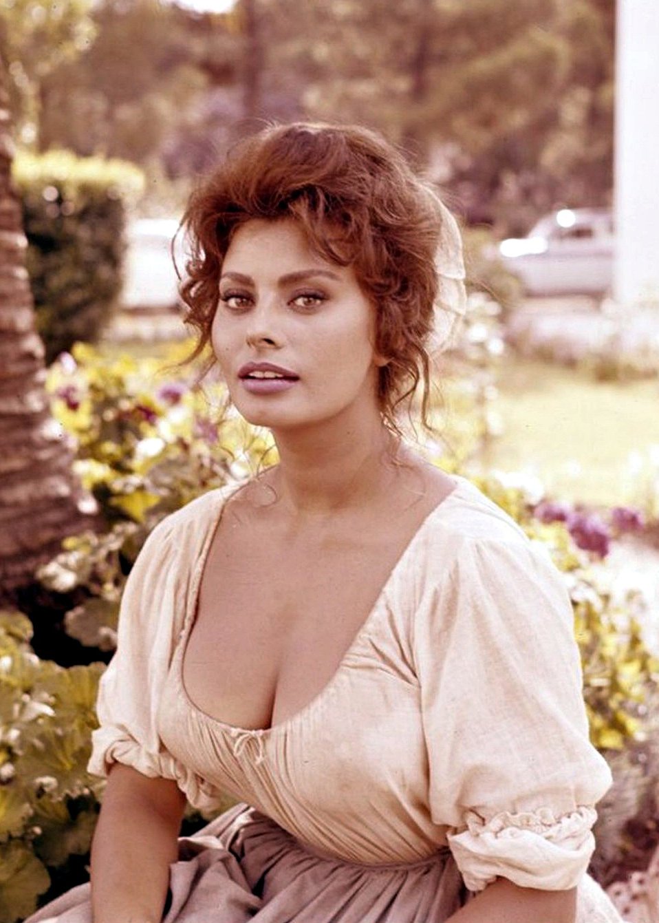 Sean Mcdowell on X: "Happy Birthday to Sofia Costanza Brigida Villani Scicolone. The stunningly beautiful Sophia Loren is 83 today. https://t.co/UdTqpYvHWM" / X
