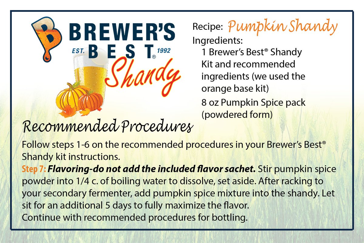 Autumn is only days away.  Why not welcome the cooler temps and festive season by crafting your own Pumpkin Shandy?