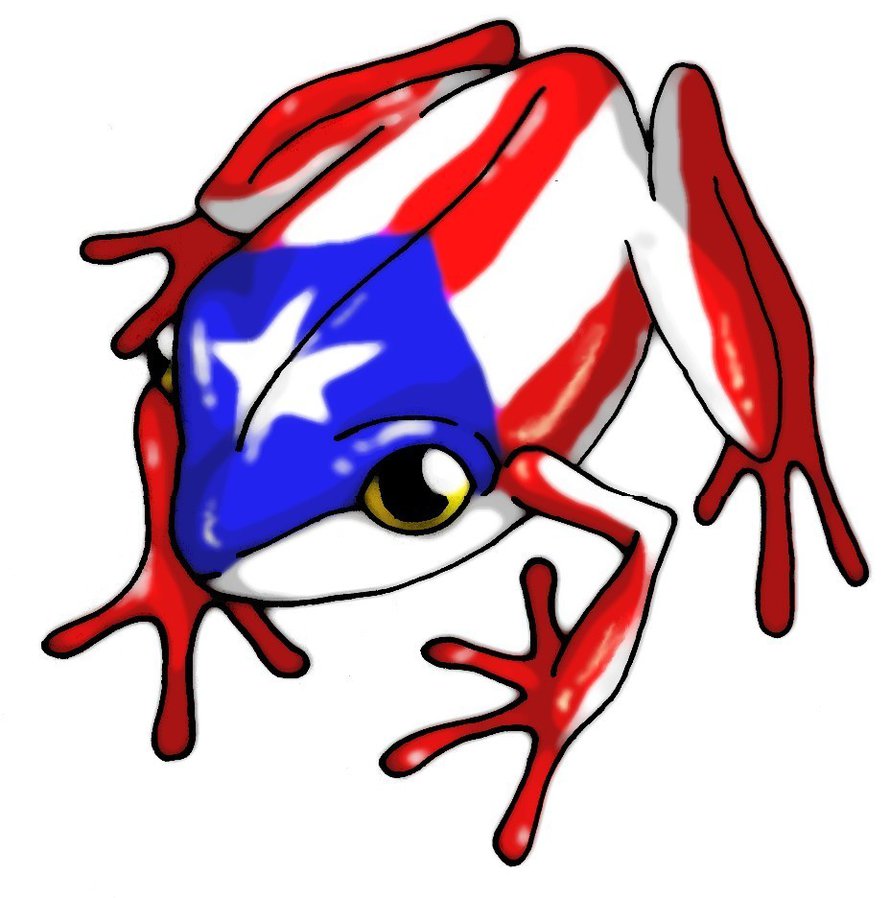 Coqui. Coqui Puerto Rico. Frog Puerto Rico. Пуэрто-Рико флаг арт. Puerto Rico and Frog Flag.