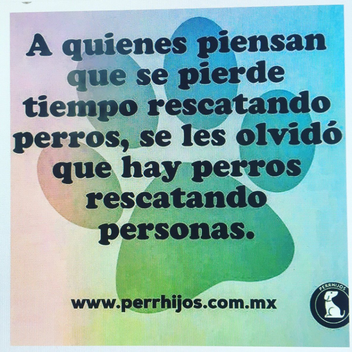 priscilavvera's tweet photo. Salvemos a las mascotas #sismocdmx https://t.co/hBjzq0D3Ki