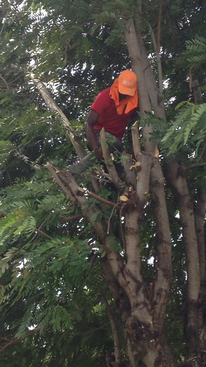 Yissell25's tweet photo. Gracias a Dios @PresidenciaRD @DaniloMedina @MOPCRD @DouglasBorrell @IngPepin14 Brigadas trabajando prevención #Maria  #UnaNuevaBanica https://t.co/3Hx2Pmloan