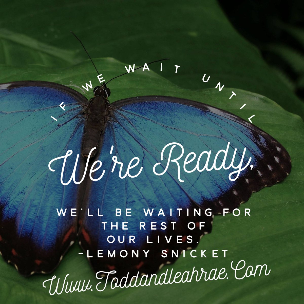 MLMers_edu's tweet photo. What have you been waiting on? Go out and do it today!! https://t.co/kj9COKZEnk