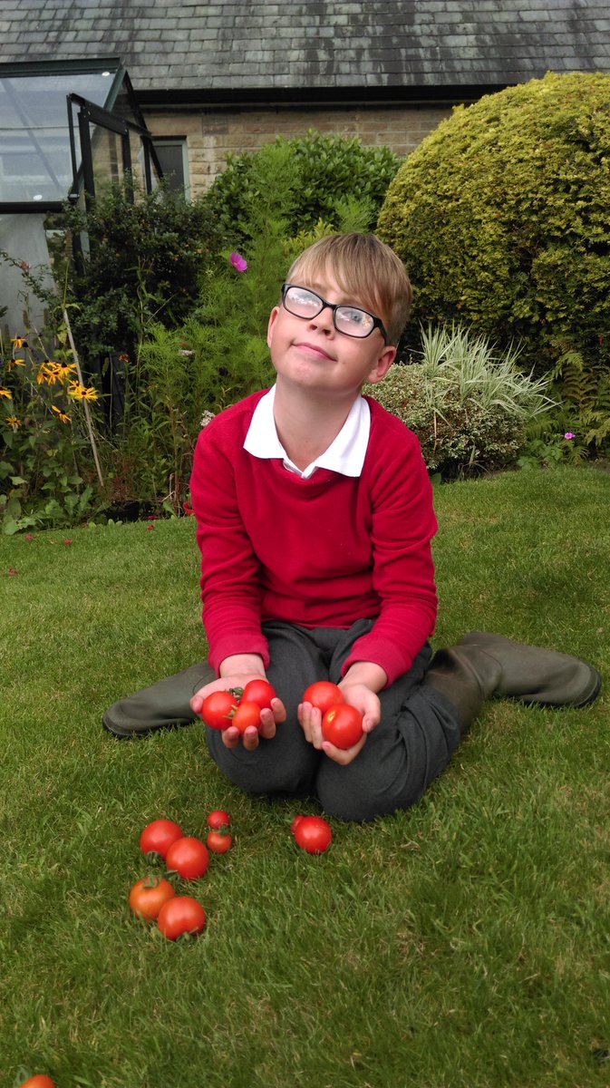 Alec and his toms..still a few more harvests to go <a href="/yr5melthamce/">yr5melthamce</a> <a href="/JoWaddi/">MrsW</a>