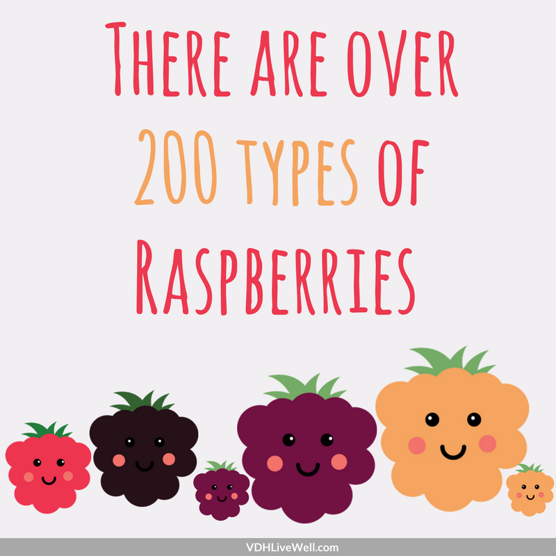 VirginiaWIC's tweet photo. #Virginia #WIC participants can get different #FruitsandVeggies with WIC benefits? #FVMMM #Nutrition  https://t.co/VHqBK4QYv5 https://t.co/JFEXxX9Z2Y