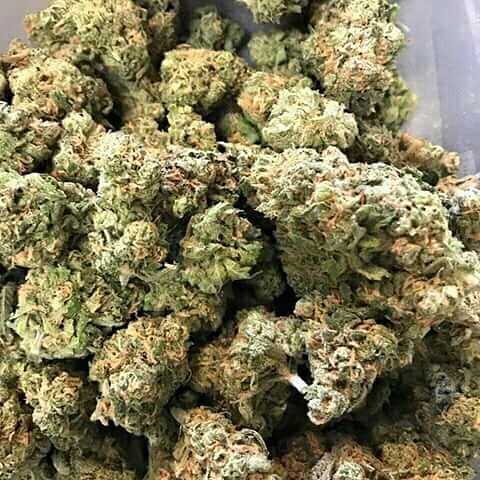 DoctorFacy's tweet image. Top medical marijuana with high THC and low CBD, pills, cannabis oil and hybrid feminine seeds, discreet delivery worldwide. Hit me up .