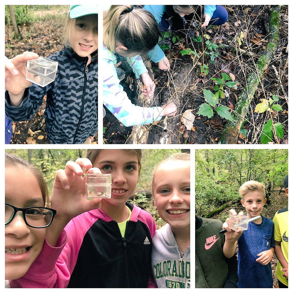 MissClarkson5's tweet photo. Getting our hands dirty digging for critters #handsonlearning #genOvation @Geneva304 @HSSPrincipal https://t.co/apiKIGS0tu