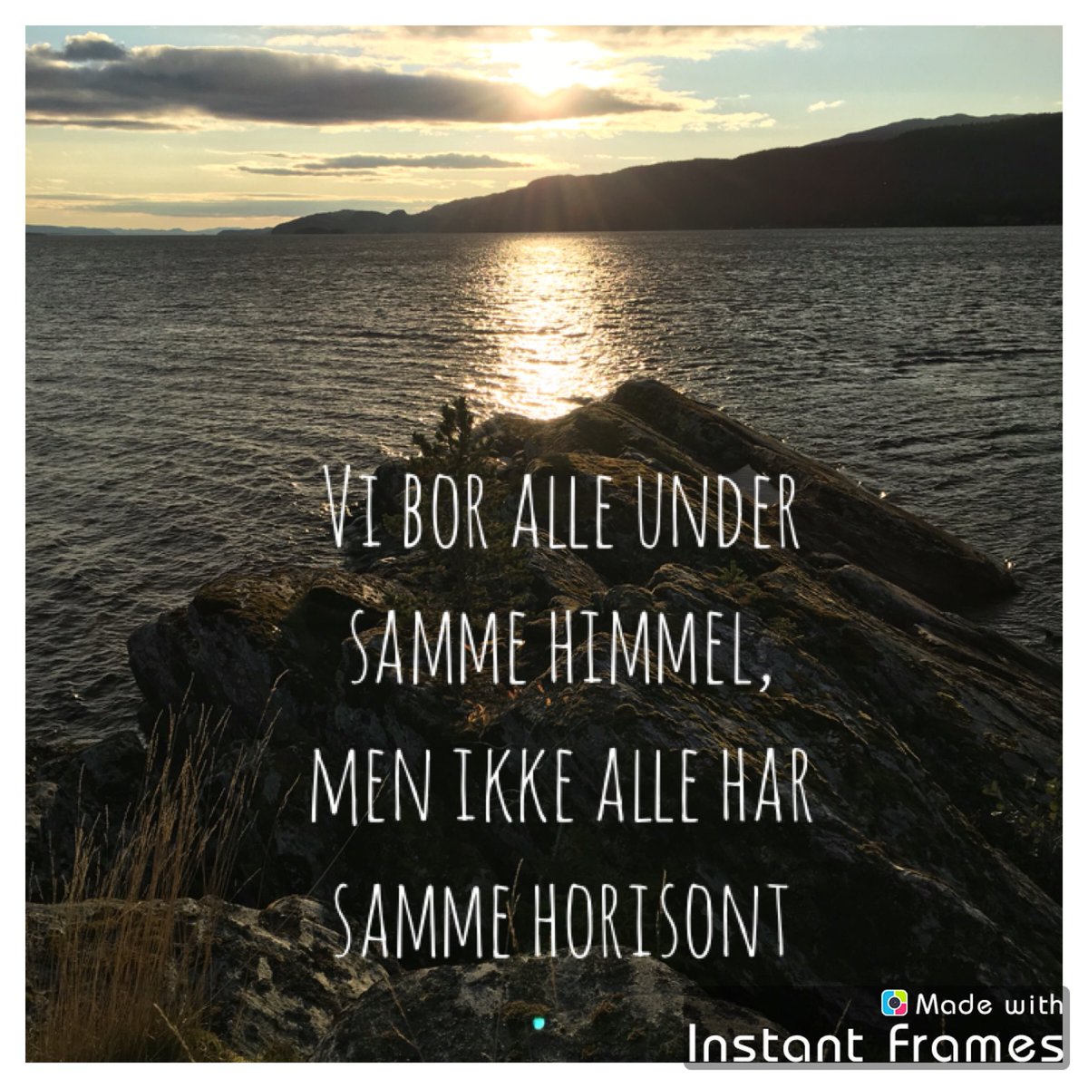 Ann Lynum (@anniewalkabout) on Twitter photo 