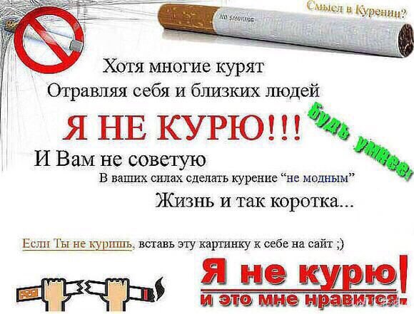 Я (@_bnka) on Twitter photo 