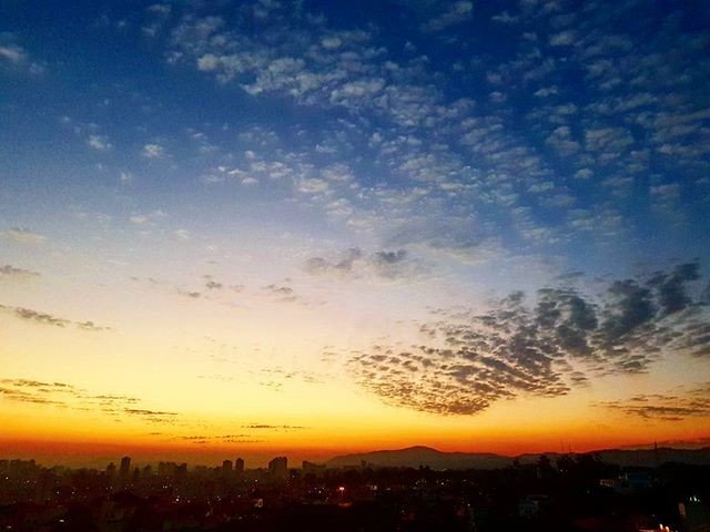 ScotlandCollins's tweet photo. Reposting @ma_sisiliani:
Ele voltou. 
#10de23 #peitoApertado #sunset #porDoSol #solLindo #pagoUmPau #photography #photos #sensacionê https://t.co/vXDYscoTUs