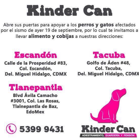 AleMullerA's tweet photo. Ayúdenme a que @MaskotaMexico nos ayude a donar comida para perros y gatos afectados.
Estos son algunos albergues q lo necesitan 👇 https://t.co/bTGcQdlUHW