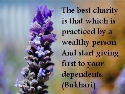 TauheedHijama's tweet image. #PerfectSystem