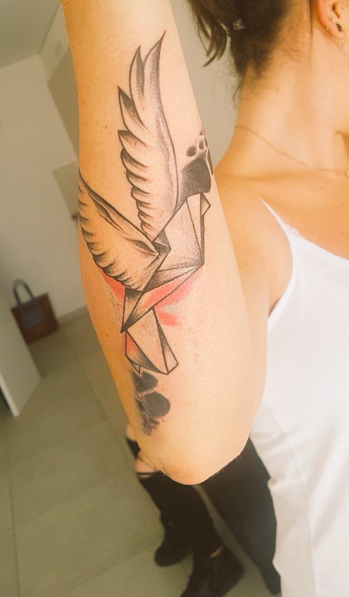 Sarah YoungMula-Tic tweet media