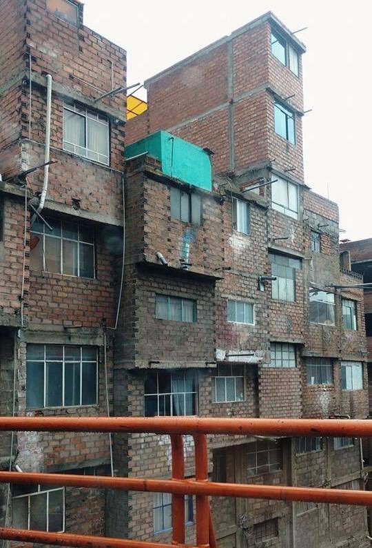 Carla Tello R tweet media