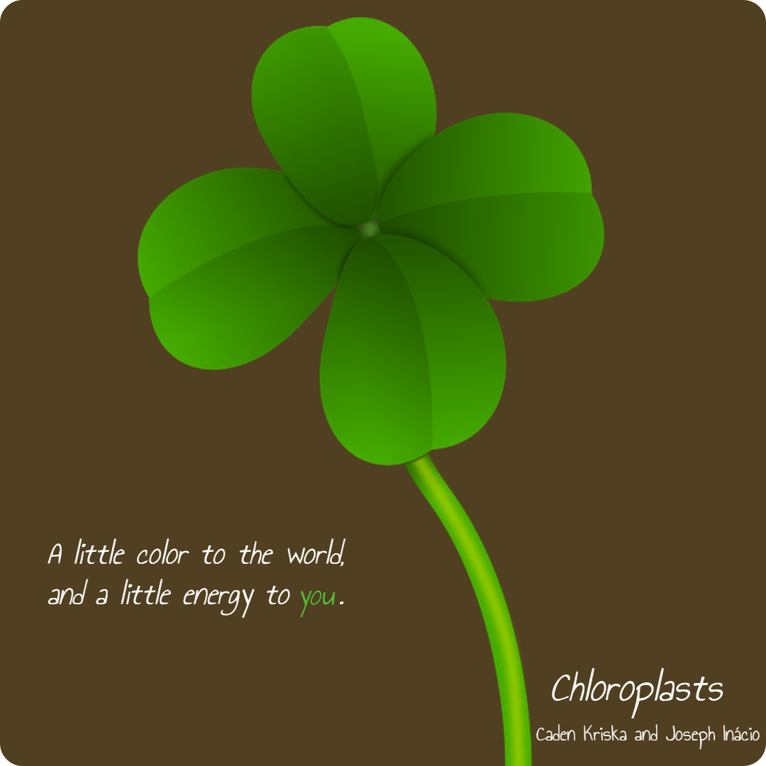 TheChloroplasts's tweet photo. We are Joseph I and Caden K. We are the solar generator of a plant cell. We are the Chloroplasts.🌱
@Liv2luvLorenz https://t.co/s4kUsmj4ai