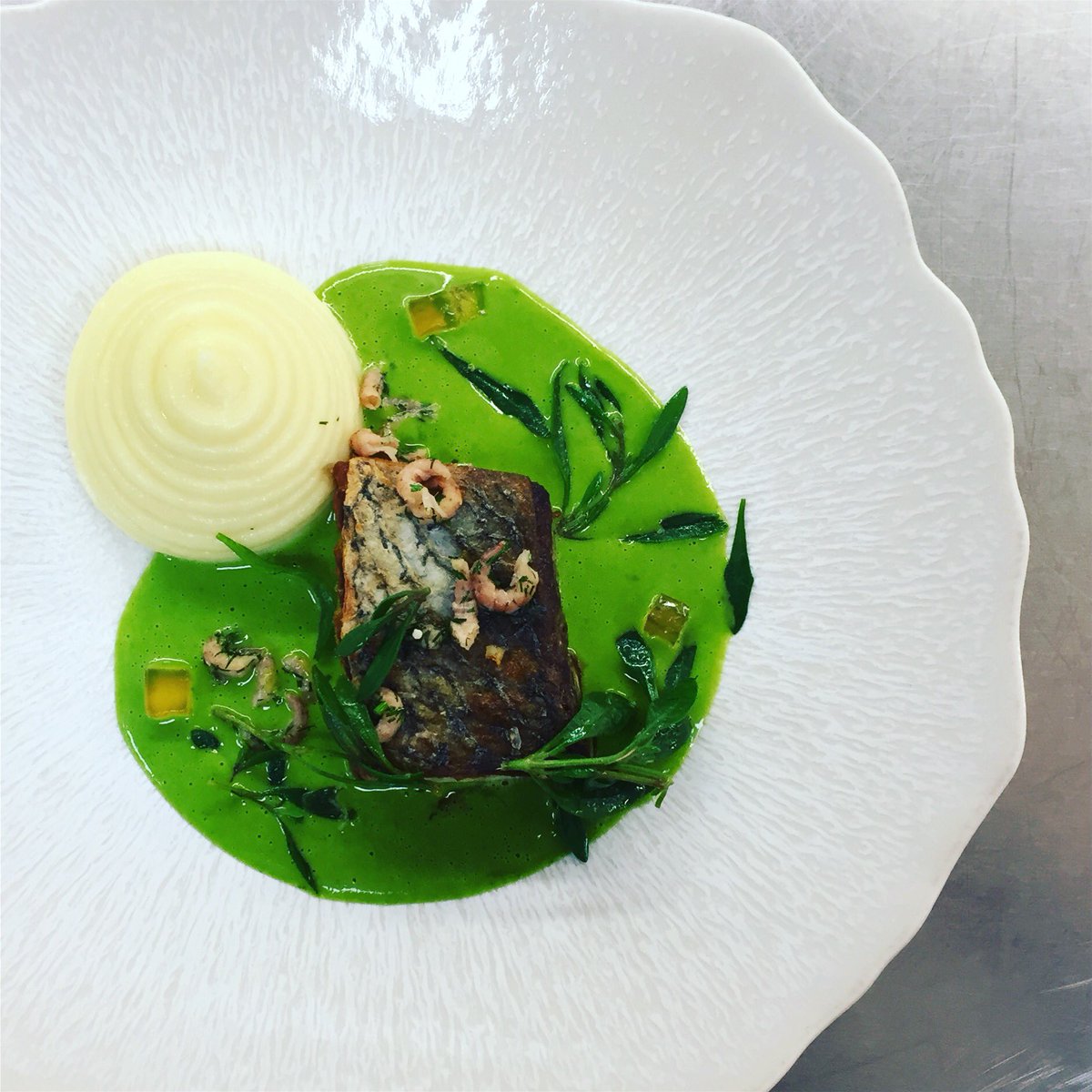simonmedwards's tweet photo. Stone bass, smoked potato, parsley liquor. @RA_Food @InstagramChefs @chefstalk @gbchefs @TheArtOfPlating @CanteenTweets @Caterertweets https://t.co/5UVUCmhlch