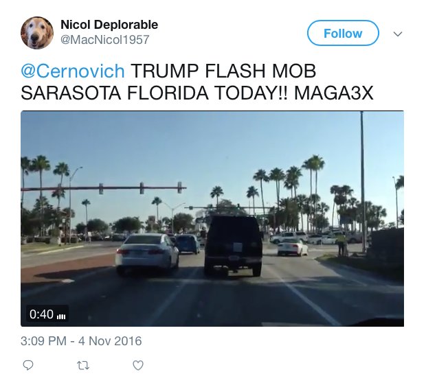 Oh look, Cernovich & MAGA3X organizing more pro-Trump flash mobs....what a coincidence.